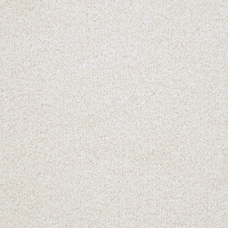 St. Augustine carpet by Masland