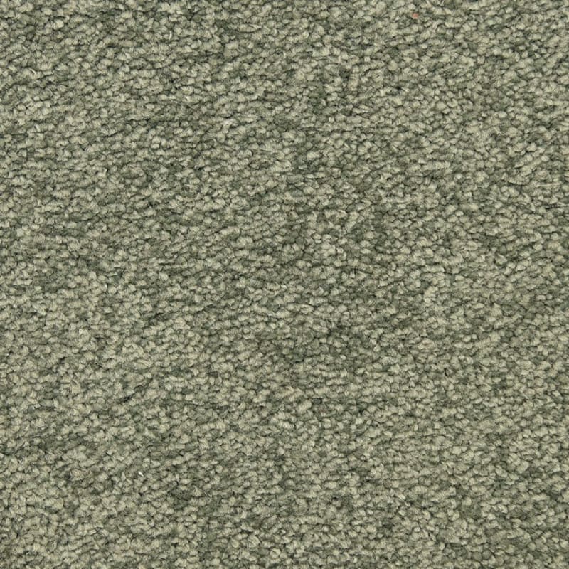 Morgan Bay carpet by Masland