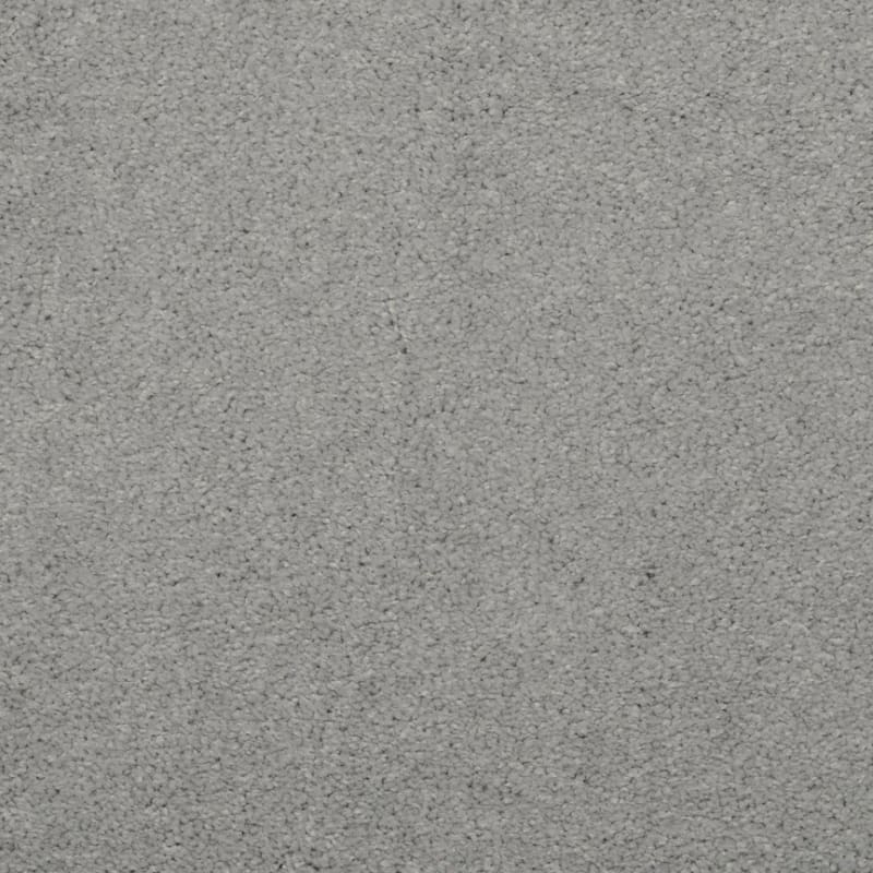 Embrace carpet by Masland
