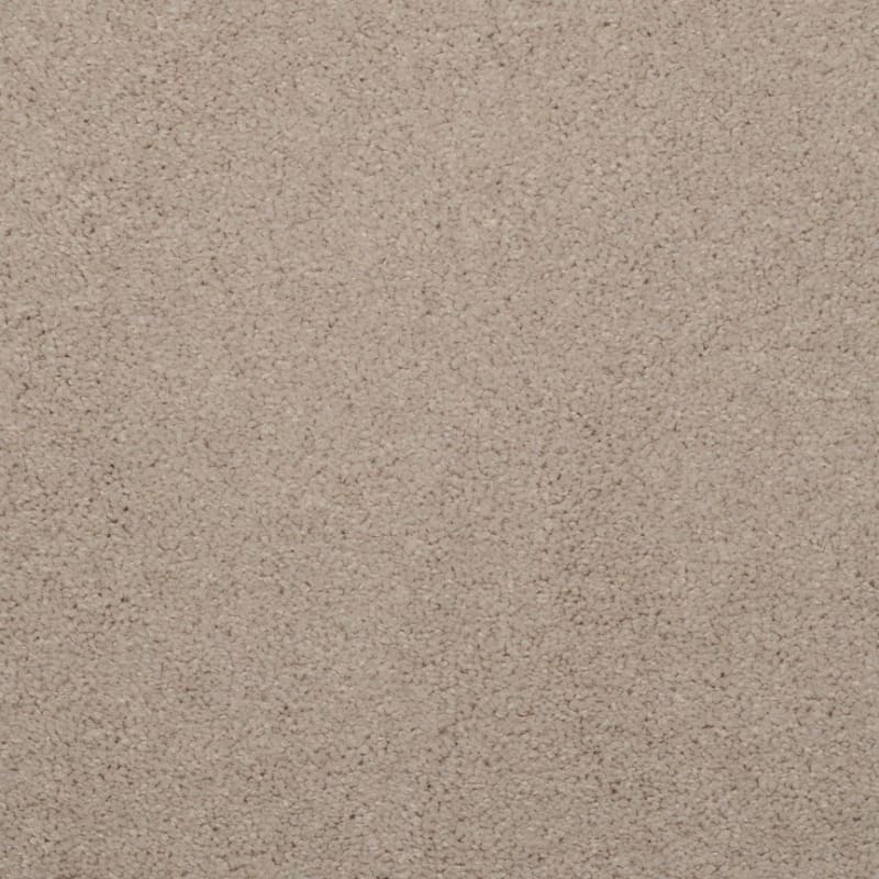 Embrace carpet by Masland
