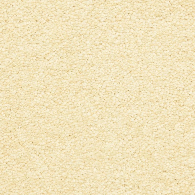 Morgan Bay carpet by Masland