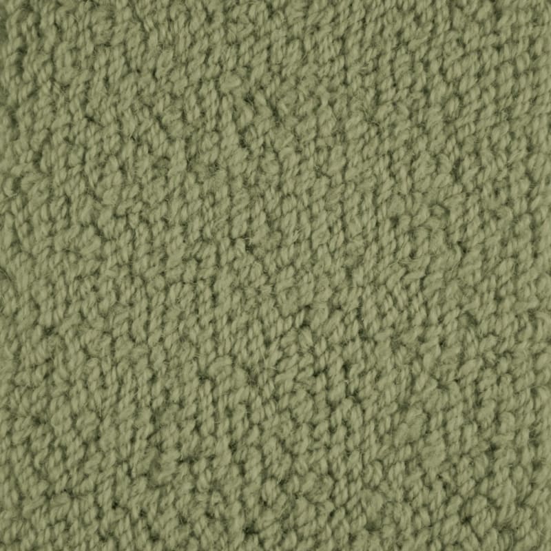 Novellino carpet by Masland