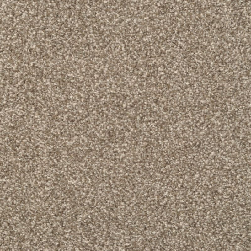 Beacon Hill carpet by Masland