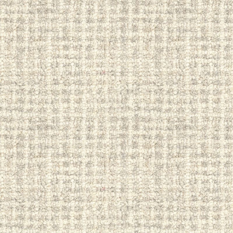 Inspiration carpet by Masland
