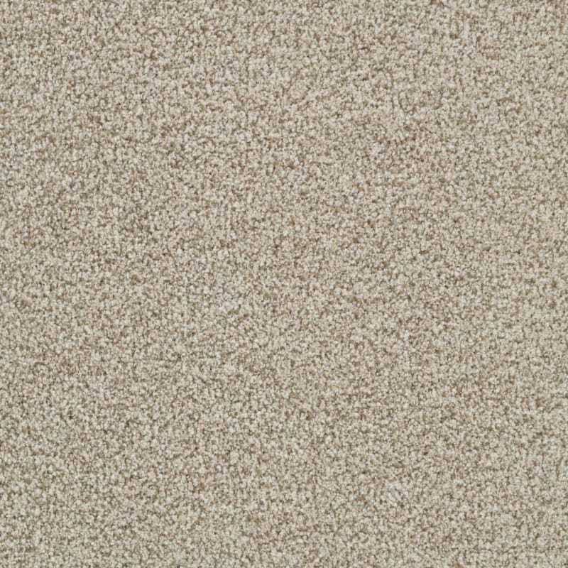 St. Augustine carpet by Masland