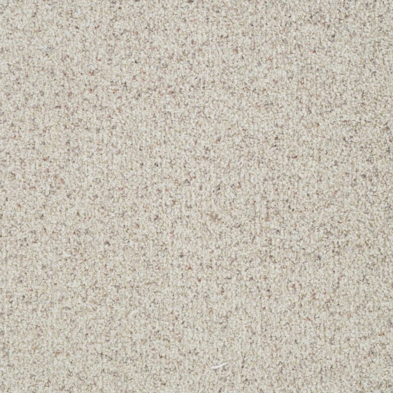 St. Augustine carpet by Masland