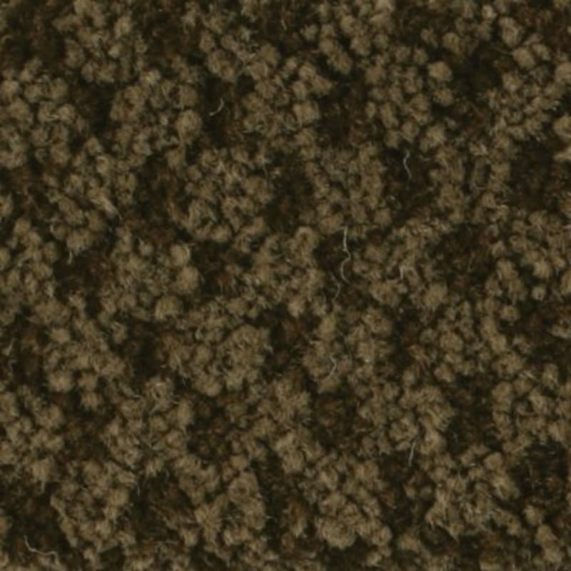 Seurat carpet by Masland