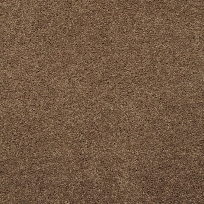 Embrace carpet by Masland