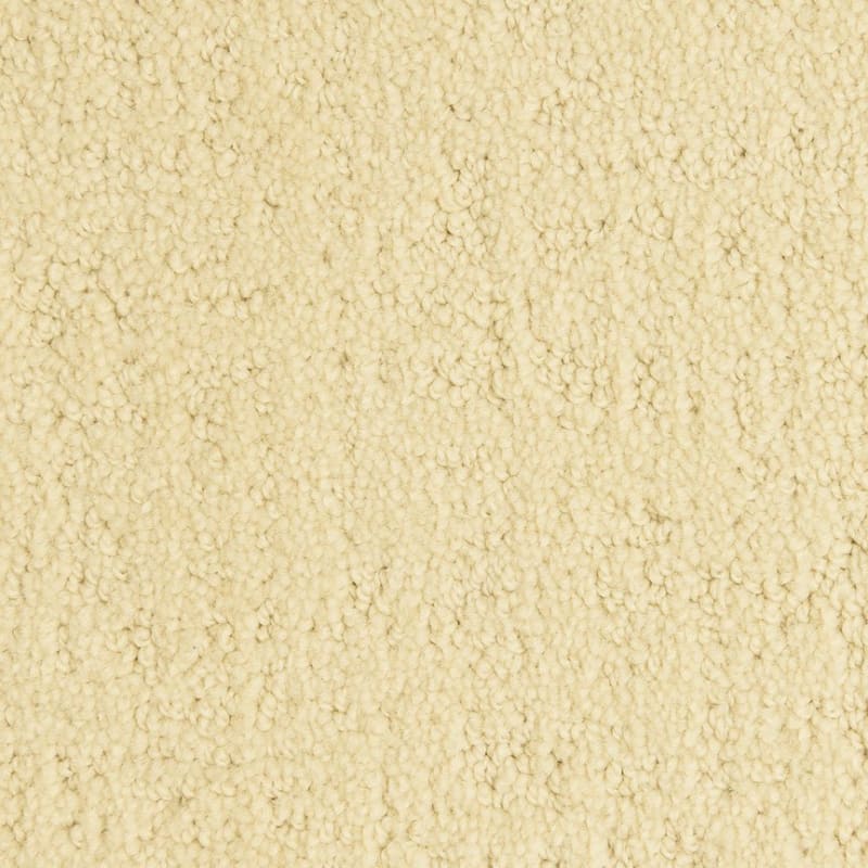 Santa Barbara carpet by Masland