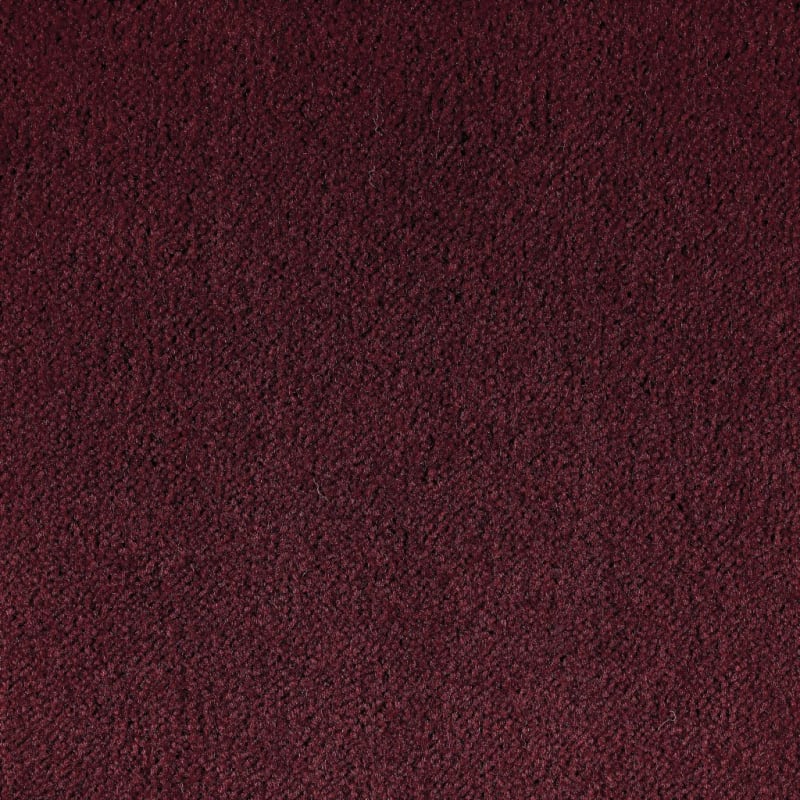 Panache carpet by Masland