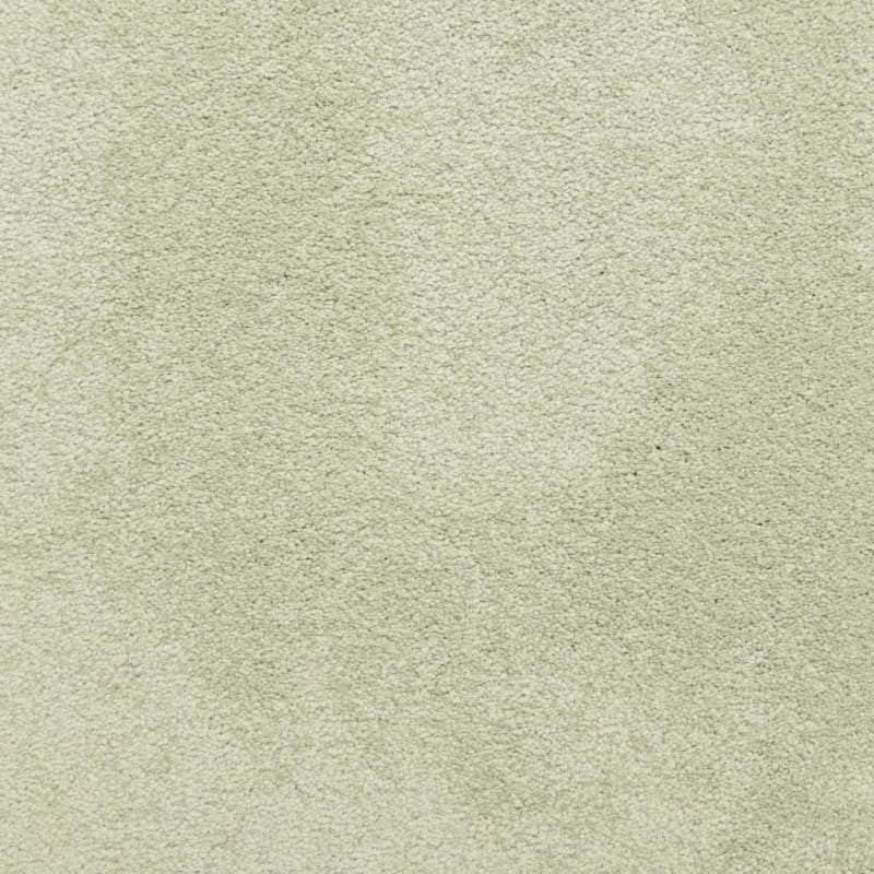 Knockout carpet by Masland