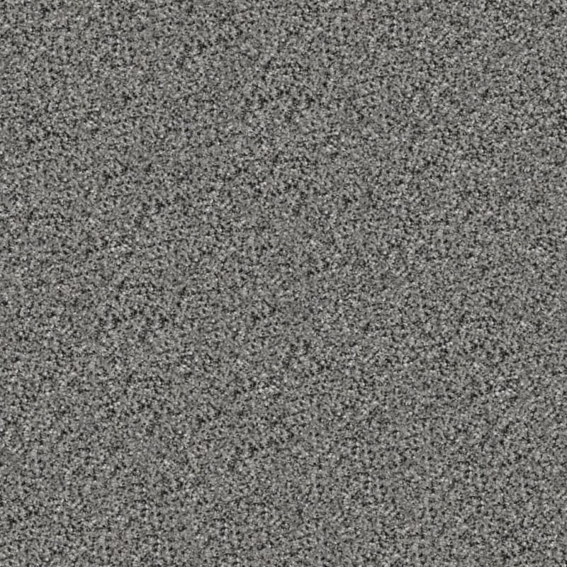 Tracker carpet by Masland