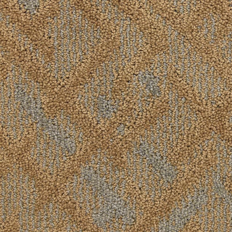 Orion carpet by Masland