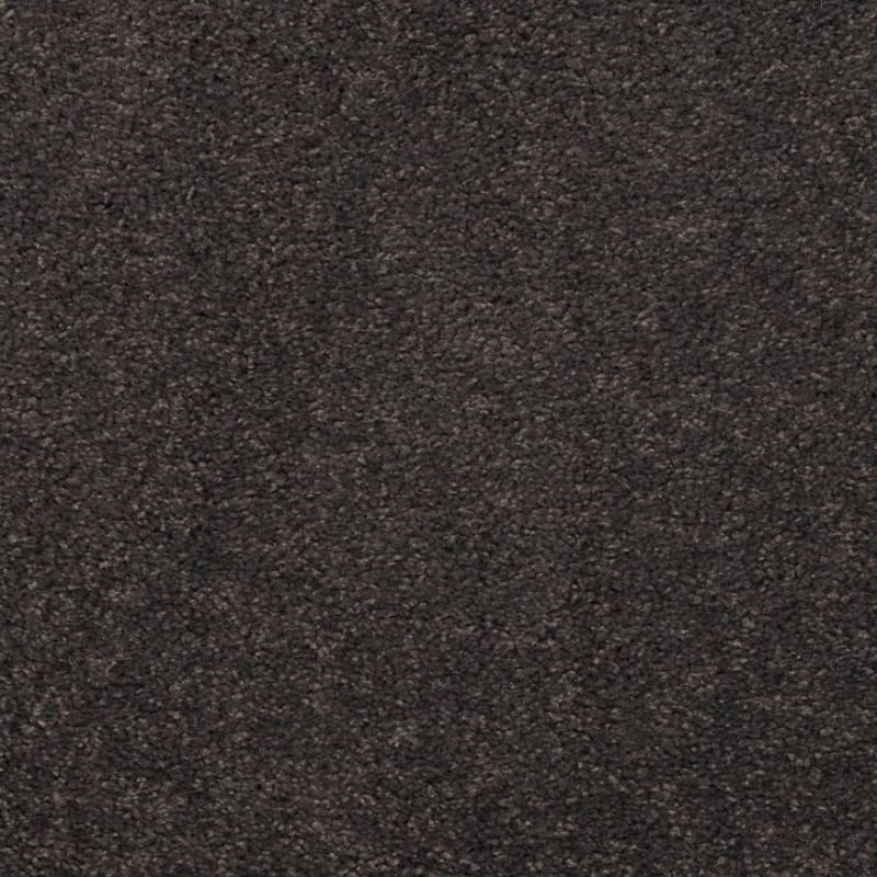 Embrace carpet by Masland