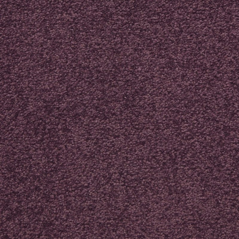 Patriot carpet by Masland