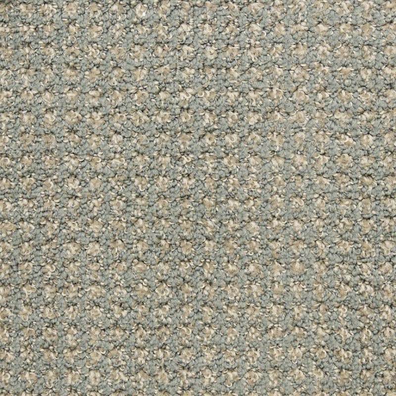 Alpha carpet by Masland