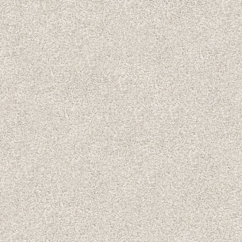 Tracker carpet by Masland