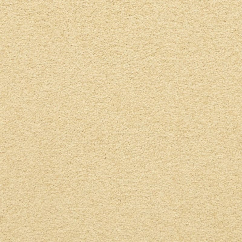 Patriot carpet by Masland