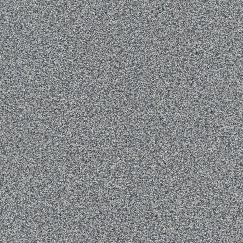 Tracker carpet by Masland