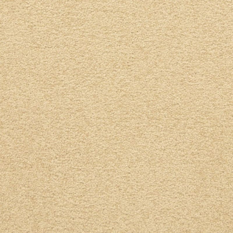 Patriot carpet by Masland