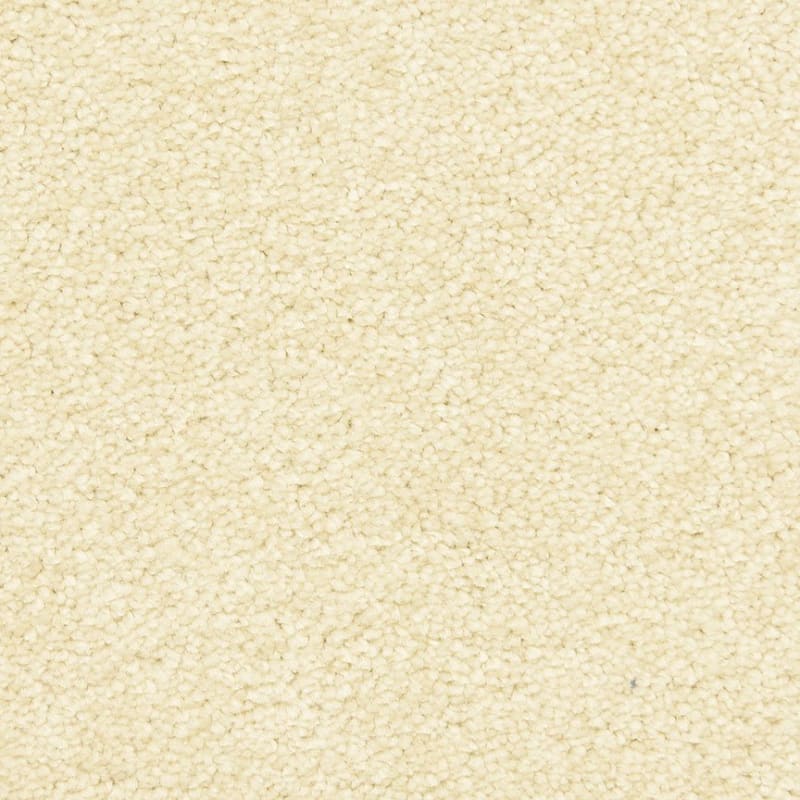 Morgan Bay carpet by Masland