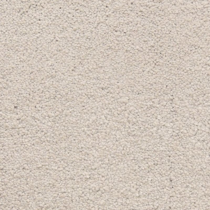 Ravishing carpet by Masland
