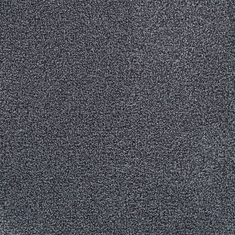 Delray carpet by Masland