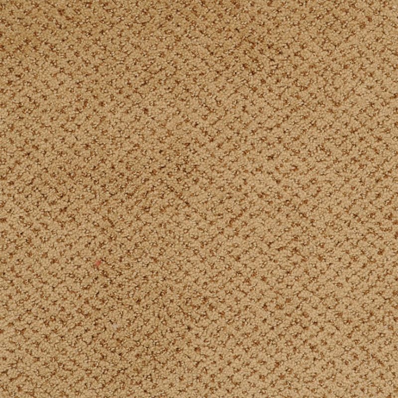 Montauk carpet by Masland