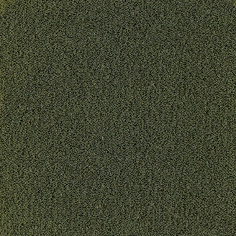 Panache carpet by Masland