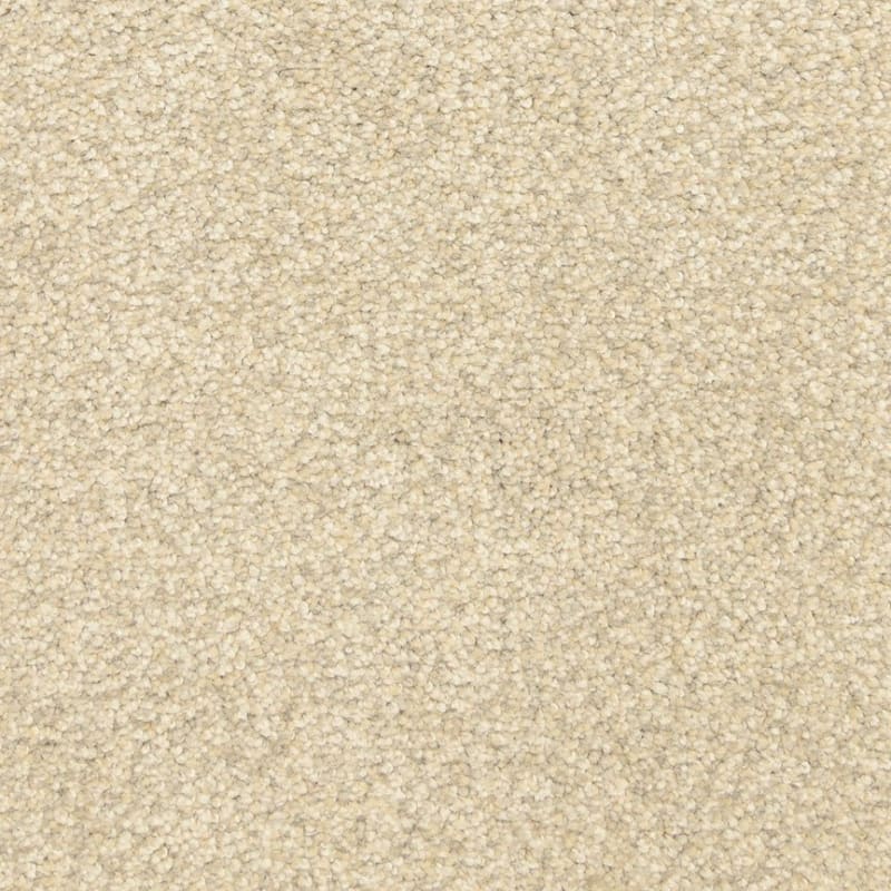 This And That carpet by Masland