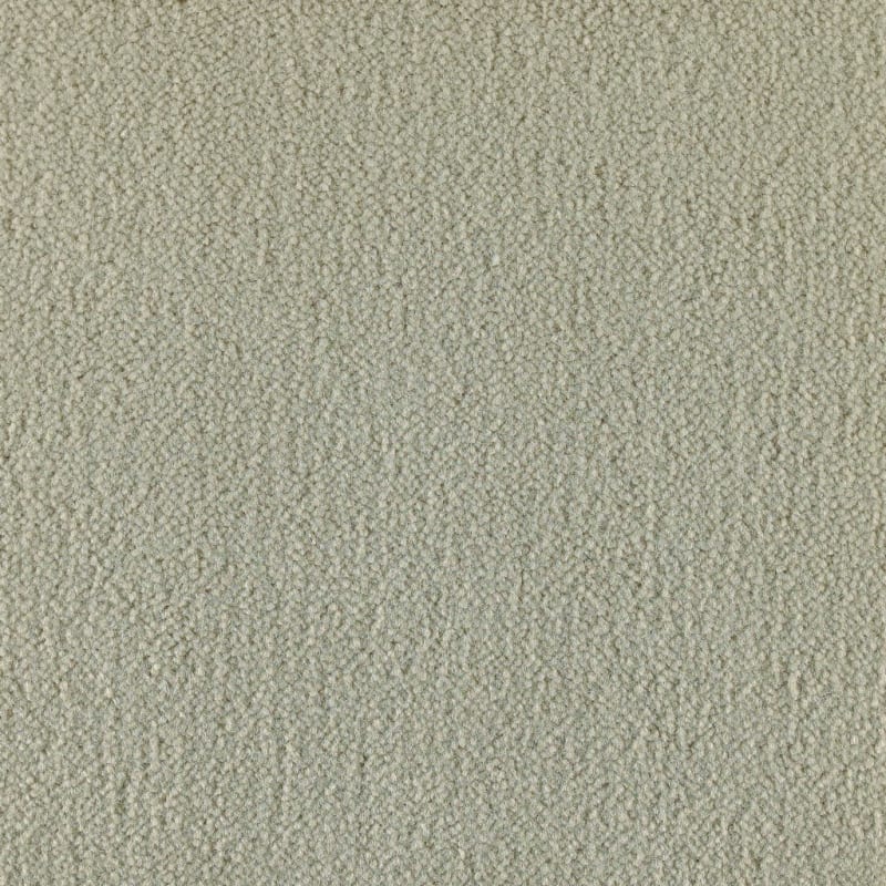Panache carpet by Masland