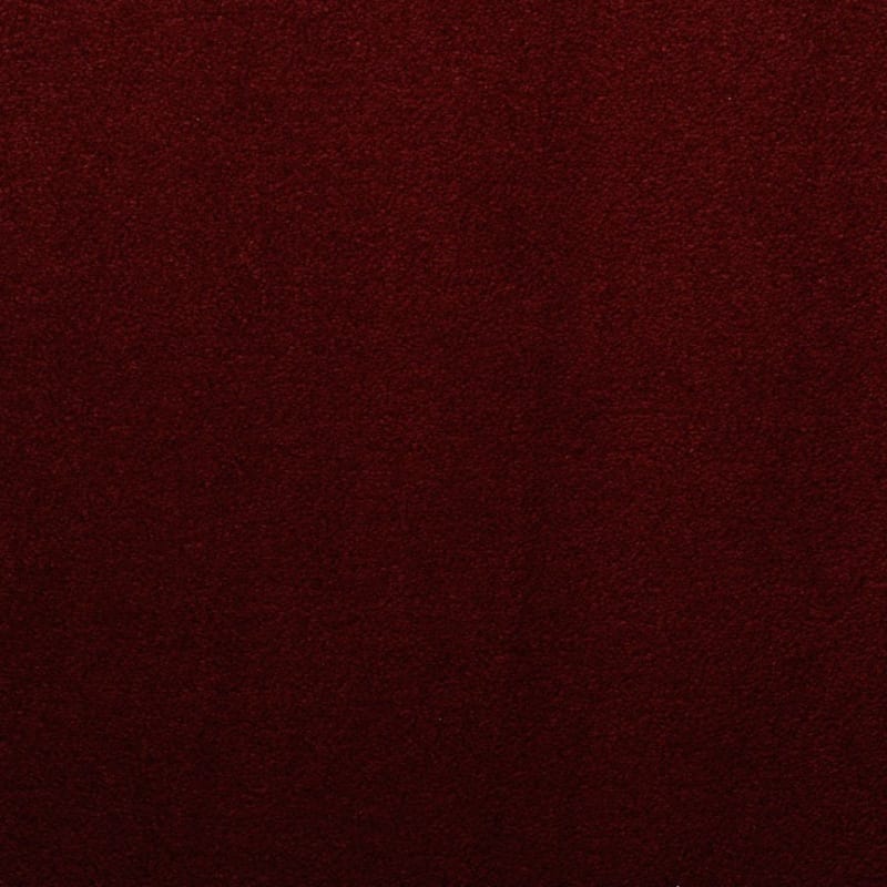 Silk Touch carpet by Masland