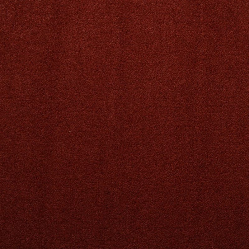 Silk Touch carpet by Masland