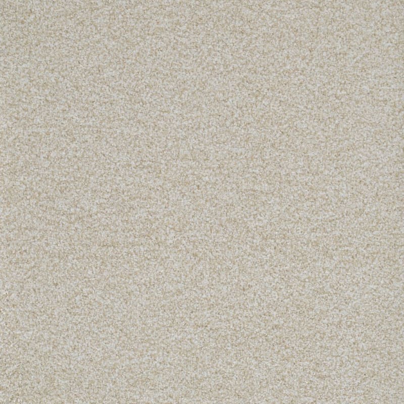 Boca Raton carpet by Masland