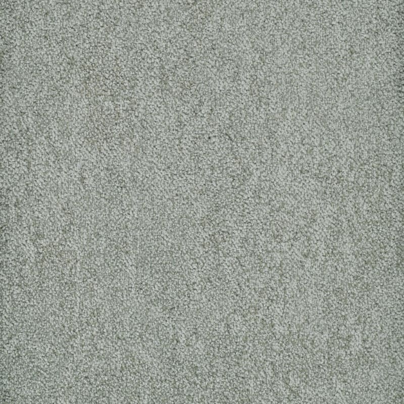 Buena Vida carpet by Masland