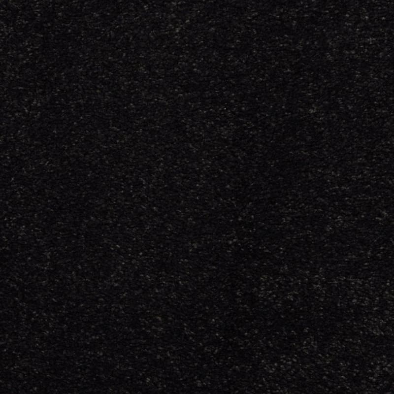Embrace carpet by Masland