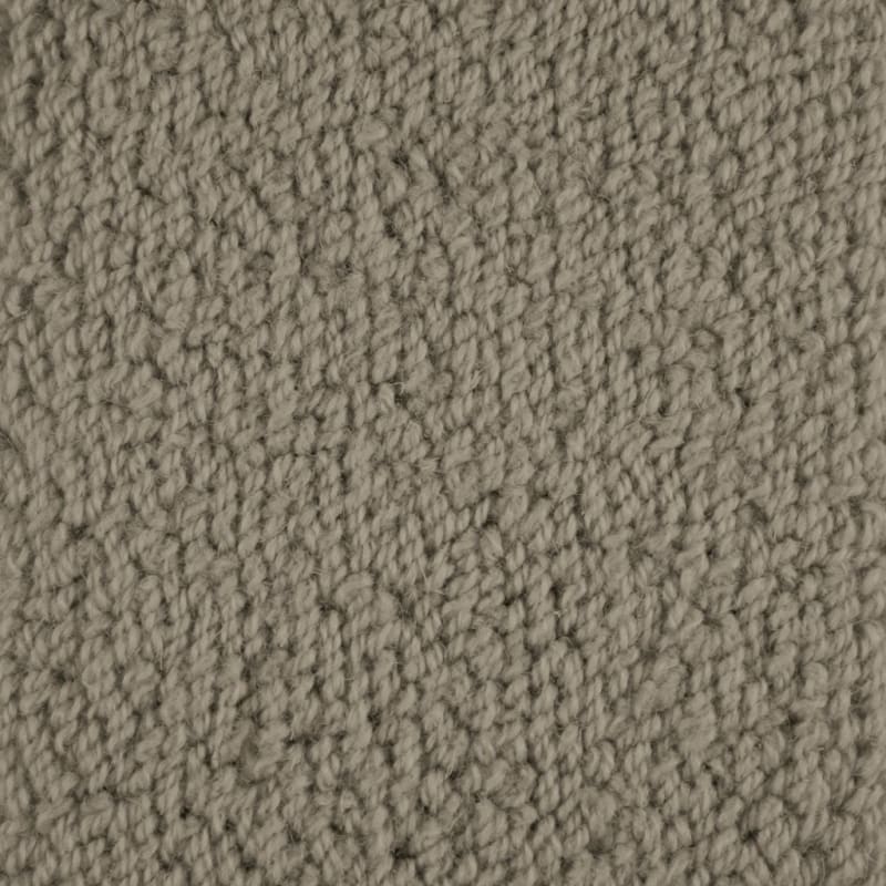 Novellino carpet by Masland
