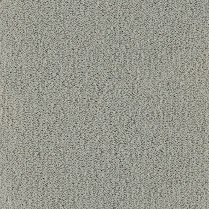 Panache carpet by Masland