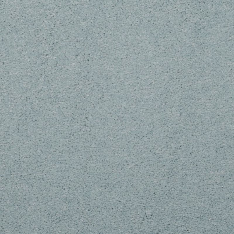 Embrace carpet by Masland