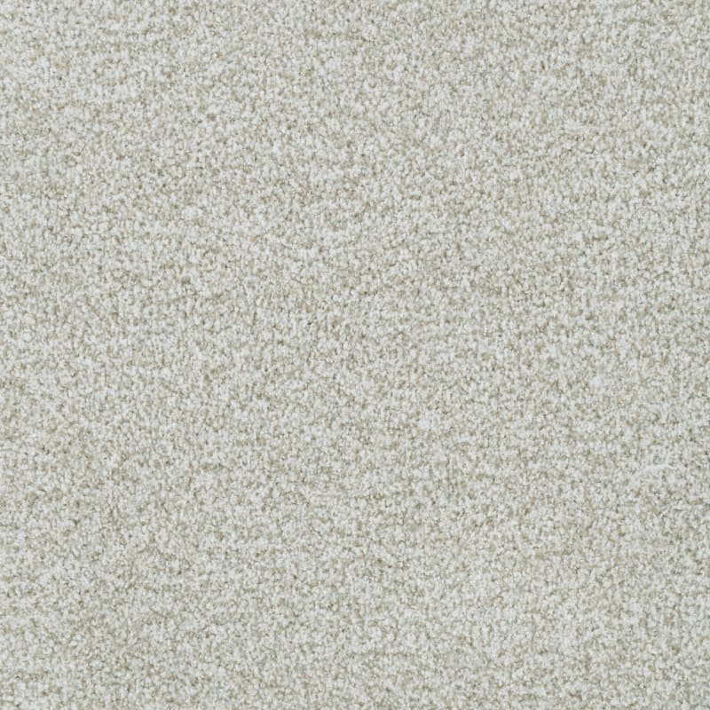 St. Augustine carpet by Masland