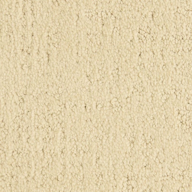 Santa Barbara carpet by Masland