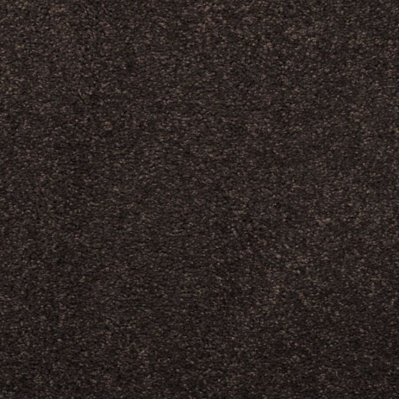 Embrace carpet by Masland