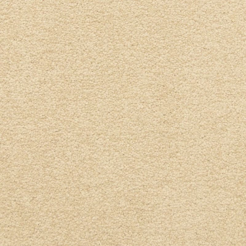 Patriot carpet by Masland