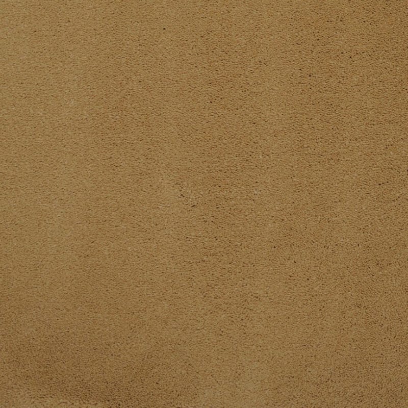 Silk Touch carpet by Masland