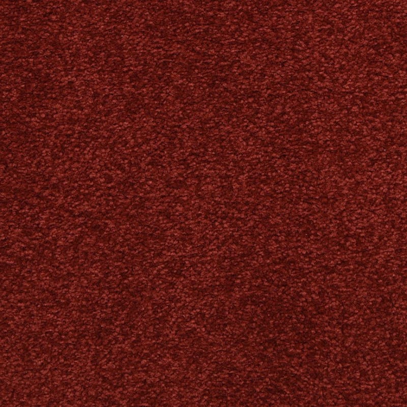 Patriot carpet by Masland