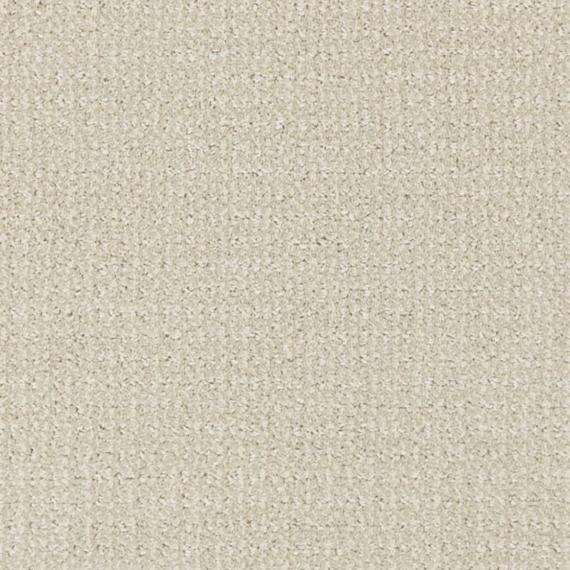Grand Champion carpet by Masland