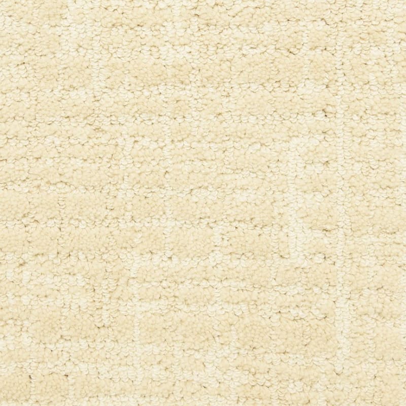 Ventura carpet by Masland