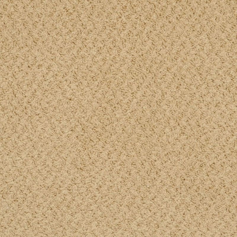New Hope carpet by Masland