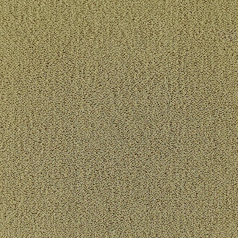 Panache carpet by Masland
