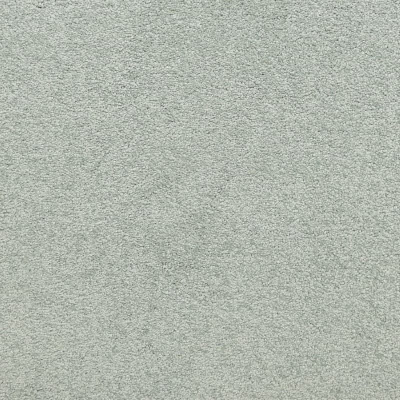 Knockout carpet by Masland